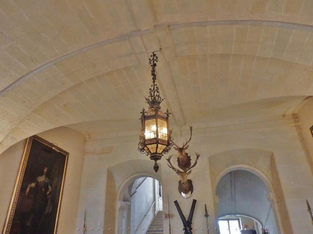 149 CHATEAU DE BRISSAC MAINE ET LOIRE 2016 N0_000020.jpg